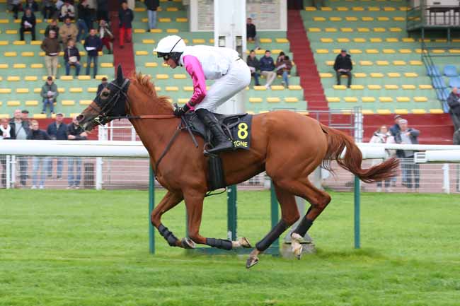 Photo d'arrivée de la course pmu PRIX SACCAGEUR à COMPIEGNE le Lundi 19 octobre 2026