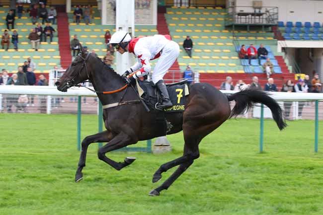 Photo d'arrivée de la course pmu PRIX BULAN à COMPIEGNE le Lundi 19 octobre 2026