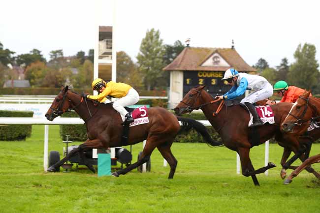Arrivée quinté pmu PRIX DES EQUIDAYS à CLAIREFONTAINE