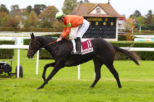 Photo d'arrivée de la course pmu PRIX MERCI AUX PARTENAIRES & EXPOSANTS DE CLAIREFONTAINE (PRIX MADINA) à CLAIREFONTAINE le Mardi 20 octobre 2026