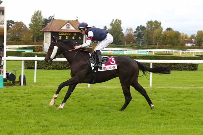 Photo d'arrivée de la course pmu PRIX MERCI A LA BOUTIQUE GOURMANDE EXPL. DES RESTO DE CF (PRIX FILIBERTO) à CLAIREFONTAINE le Mardi 20 octobre 2026