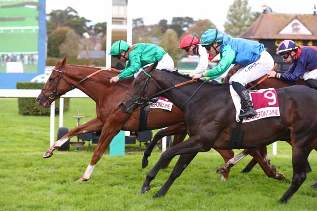 Photo d'arrivée de la course pmu PRIX LE CALVADOS FETE LE CHEVAL (PRIX ASHMORE) à CLAIREFONTAINE le Mardi 20 octobre 2026