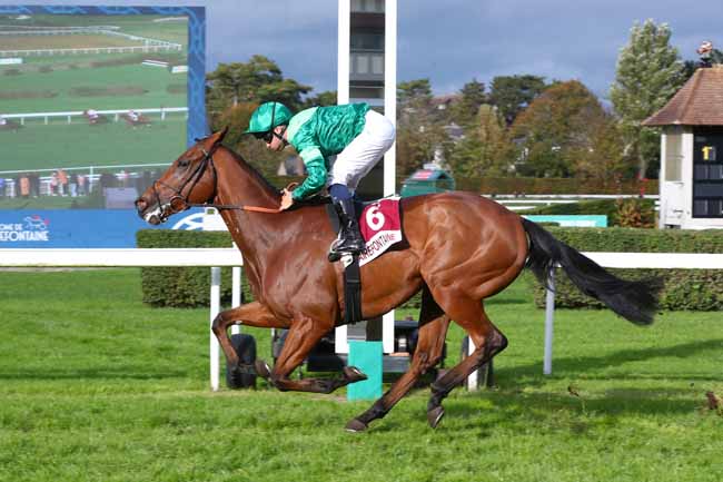 Photo d'arrivée de la course pmu PRIX #EQUIDAYSCALVADOS (PRIX DE LA COUTURE BARDIN) à CLAIREFONTAINE le Mardi 20 octobre 2026
