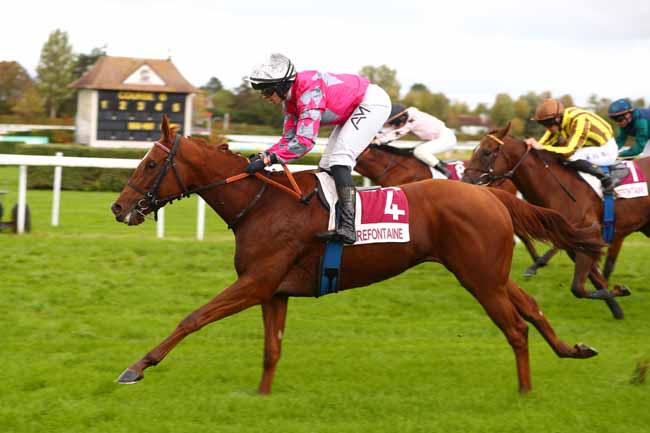 Photo d'arrivée de la course pmu PRIX MERCI AUX VISITEURS DE CLAIREFONTAINE (PRIX DE FLEURIGNY) à CLAIREFONTAINE le Mardi 20 octobre 2026