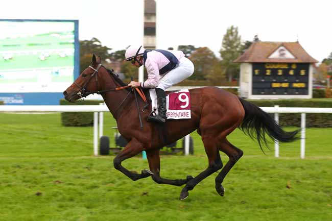 Photo d'arrivée de la course pmu PRIX MERC. 21.10.2026-DERN. JOURN. DES ANIM. EQUIDAYS (PRIX D.L'ET. D.VTES) à CLAIREFONTAINE le Mardi 20 octobre 2026