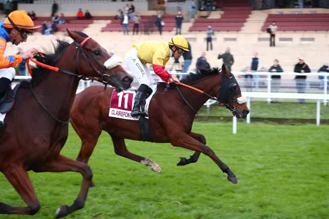 Photo d'arrivée de la course pmu PRIX DU MINI MEETING D'OCTOBRE (PRIX DES PANICAUTS) à CLAIREFONTAINE le Mardi 20 octobre 2026