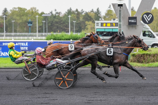 Photo d'arrivée de la course pmu PRIX CALIFORNIA à PARIS-VINCENNES le Mardi 20 octobre 2026