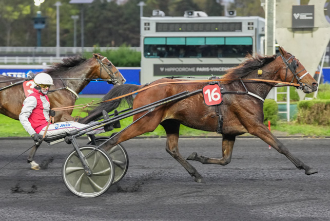 Photo d'arrivée de la course pmu PRIX MAJA à PARIS-VINCENNES le Mardi 20 octobre 2026