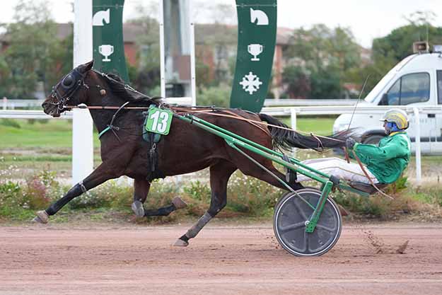 Arrivée quinté pmu GRAND PRIX DE LA VILLE ROSE à TOULOUSE
