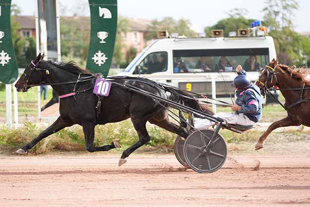 Photo d'arrivée de la course pmu PRIX DE L'UNAT à TOULOUSE le Mercredi 21 octobre 2026