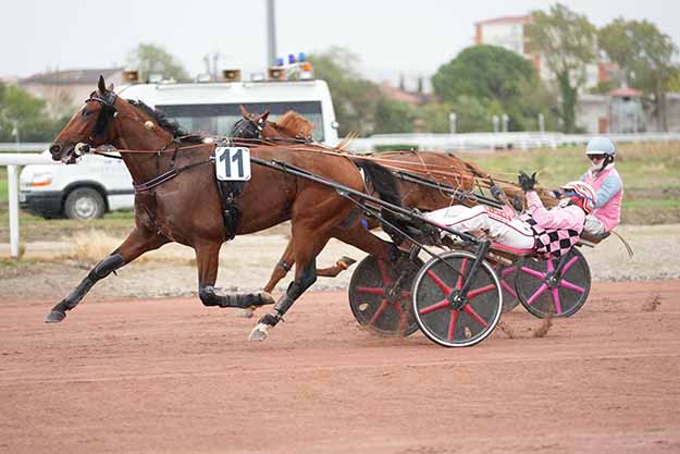 Photo d'arrivée de la course pmu PRIX DE L'HIPPODROME DE BORDEAUX à TOULOUSE le Mercredi 21 octobre 2026