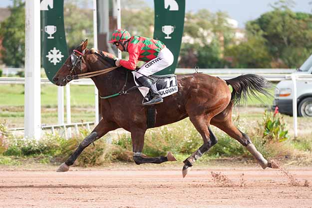 Photo d'arrivée de la course pmu PRIX PMU + à TOULOUSE le Mercredi 21 octobre 2026