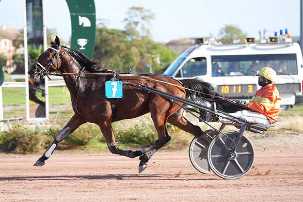 Photo d'arrivée de la course pmu GRAND PRIX DE LA CEPIERE à TOULOUSE le Mercredi 21 octobre 2026