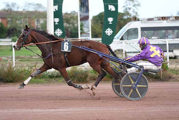 Photo d'arrivée de la course pmu PRIX DE L'HIPPODROME D'AGEN à TOULOUSE le Mercredi 21 octobre 2026