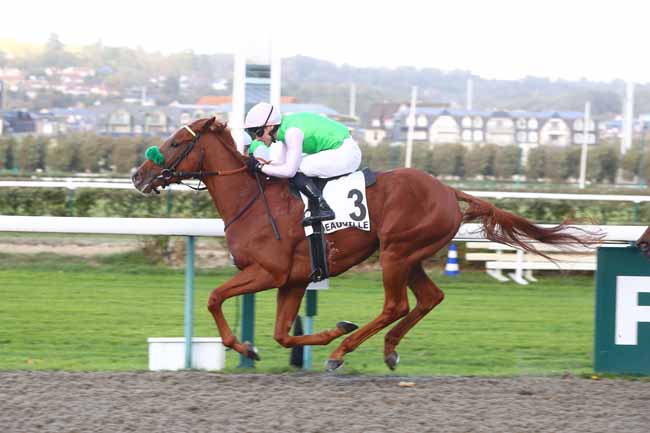 Photo d'arrivée de la course pmu PRIX DU BESSIN à DEAUVILLE le Mercredi 21 octobre 2026
