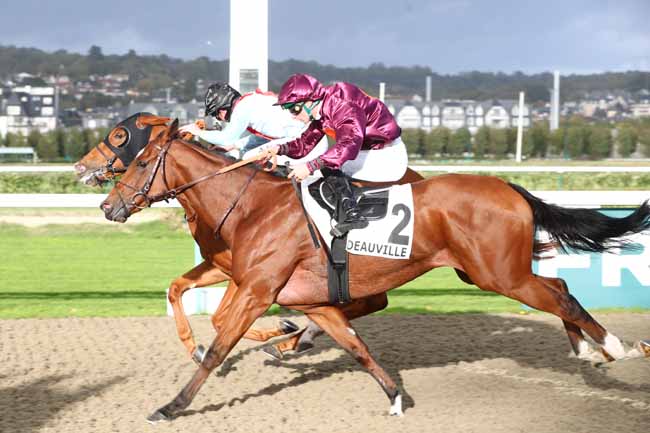 Photo d'arrivée de la course pmu PRIX DE LA FORET DE BORD à DEAUVILLE le Mercredi 21 octobre 2026