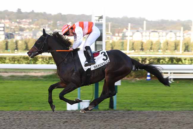 Photo d'arrivée de la course pmu PRIX DE LA FORET DU ROUVRAY à DEAUVILLE le Mercredi 21 octobre 2026