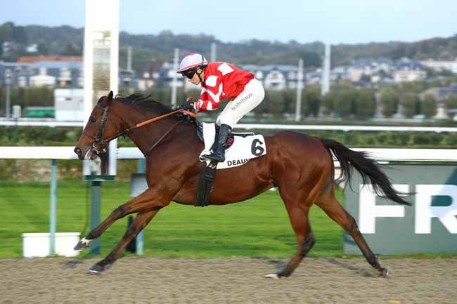 Photo d'arrivée de la course pmu PRIX DE LA FORET DE BIZY à DEAUVILLE le Mercredi 21 octobre 2026