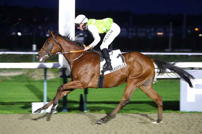 Photo d'arrivée de la course pmu PRIX DE CAEN à DEAUVILLE le Mercredi 21 octobre 2026