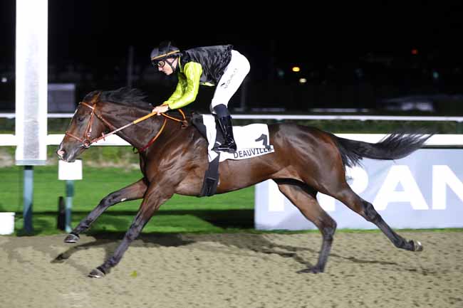 Photo d'arrivée de la course pmu PRIX DU CHATEAU DE CREVECOEUR à DEAUVILLE le Mercredi 21 octobre 2026