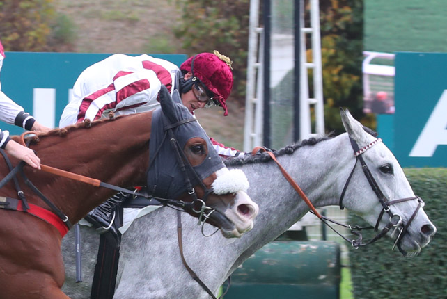 Arrivée quinté pmu PRIX ANDRE ADELE à AUTEUIL