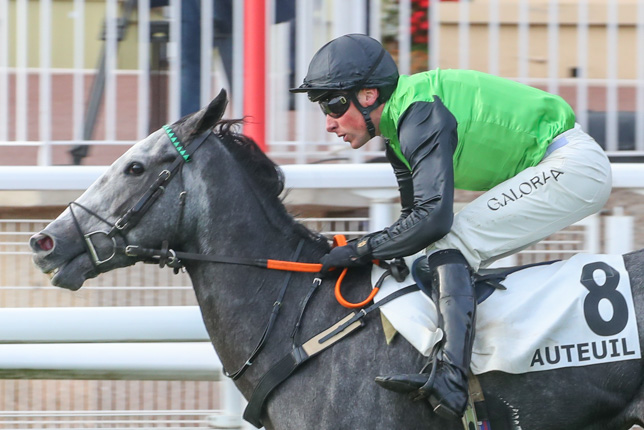 Photo d'arrivée de la course pmu PRIX EMILIUS à AUTEUIL le Jeudi 22 octobre 2026