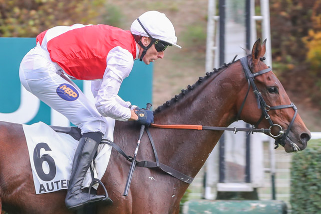 Photo d'arrivée de la course pmu PRIX GENERAL DONNIO à AUTEUIL le Jeudi 22 octobre 2026