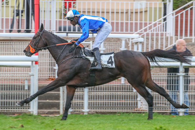 Photo d'arrivée de la course pmu PRIX MARLY RIVER à AUTEUIL le Jeudi 22 octobre 2026