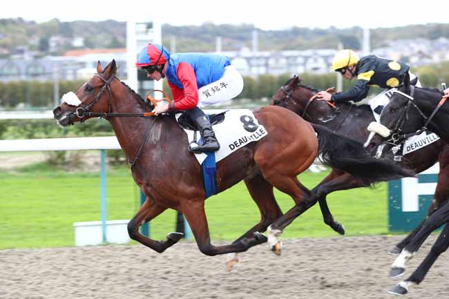 Photo d'arrivée de la course pmu PRIX DE FIERVILLE à DEAUVILLE le Jeudi 22 octobre 2026