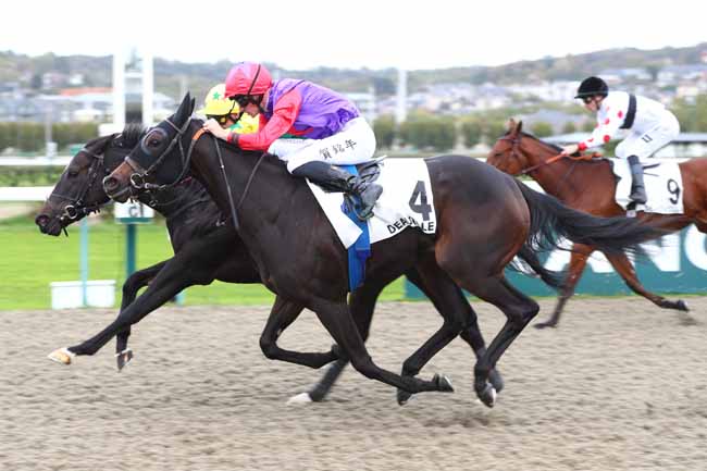 Photo d'arrivée de la course pmu PRIX D'ARGENTAN à DEAUVILLE le Jeudi 22 octobre 2026