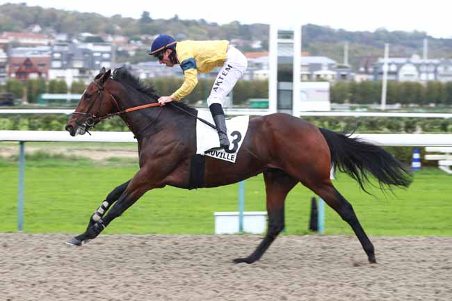 Photo d'arrivée de la course pmu PRIX DE VILLEPELEE à DEAUVILLE le Jeudi 22 octobre 2026