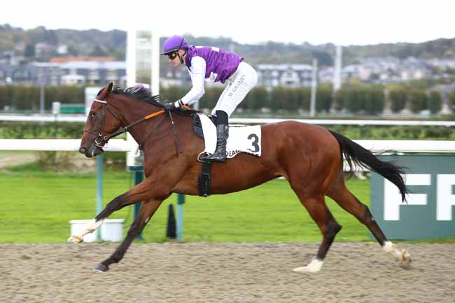 Photo d'arrivée de la course pmu PRIX DU CANAL DU HAVRE à DEAUVILLE le Jeudi 22 octobre 2026