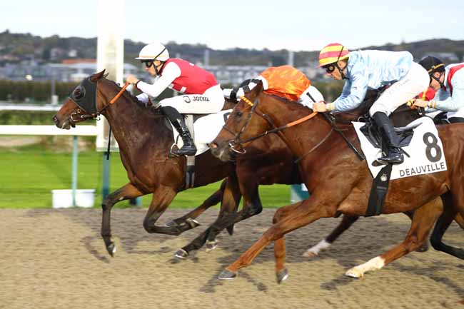 Photo d'arrivée de la course pmu PRIX DE L'ECLUSE FRANCOIS 1ER à DEAUVILLE le Jeudi 22 octobre 2026