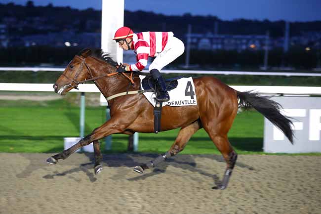 Photo d'arrivée de la course pmu PRIX DE CASTILLON à DEAUVILLE le Jeudi 22 octobre 2026
