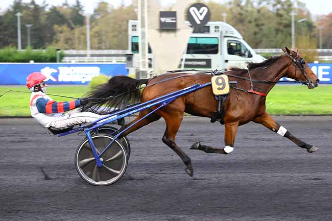 Photo d'arrivée de la course pmu PRIX PIERRE VAN TROYEN à PARIS-VINCENNES le Vendredi 23 octobre 2026
