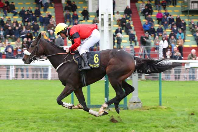 Photo d'arrivée de la course pmu PRIX VATELYS à COMPIEGNE le Samedi 24 octobre 2026