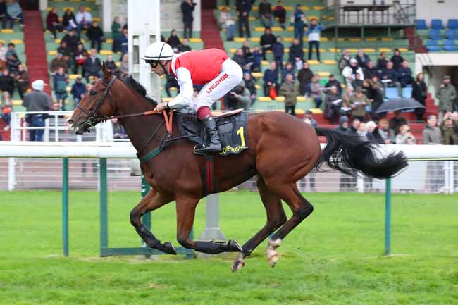 Photo d'arrivée de la course pmu PRIX DOMINIQUE SARTINI à COMPIEGNE le Samedi 24 octobre 2026