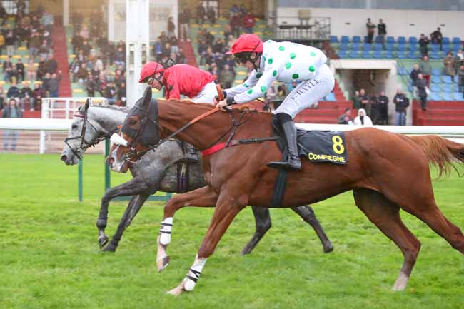 Photo d'arrivée de la course pmu GRAND STEEPLE-CHASE DE COMPIEGNE à COMPIEGNE le Samedi 24 octobre 2026