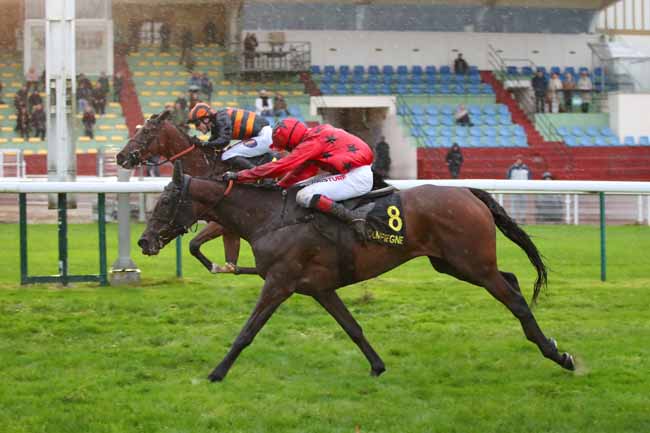 Photo d'arrivée de la course pmu PRIX DE BESANCON à COMPIEGNE le Samedi 24 octobre 2026