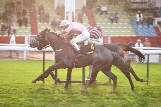 Photo d'arrivée de la course pmu PRIX CERILLY à COMPIEGNE le Samedi 24 octobre 2026