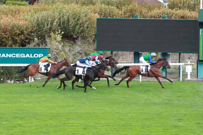 Photo d'arrivée de la course pmu PRIX DE FLORE à SAINT CLOUD le Dimanche 25 octobre 2026