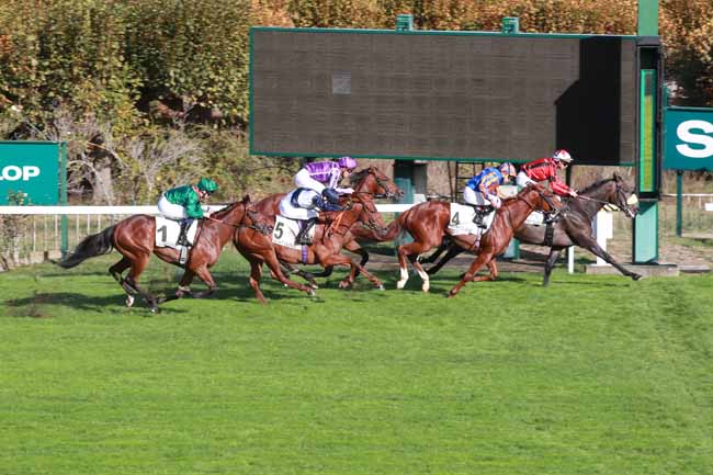 Photo d'arrivée de la course pmu CRITERIUM INTERNATIONAL à SAINT CLOUD le Dimanche 25 octobre 2026
