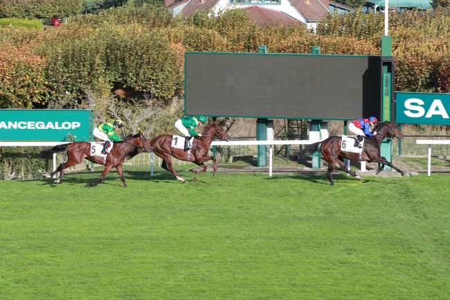 Photo d'arrivée de la course pmu CRITERIUM DE SAINT-CLOUD à SAINT CLOUD le Dimanche 25 octobre 2026