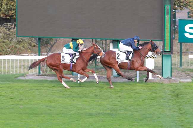 Photo d'arrivée de la course pmu PRIX ROYAL-OAK à SAINT CLOUD le Dimanche 25 octobre 2026