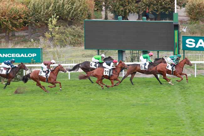 Photo d'arrivée de la course pmu PRIX BELLE DE NUIT à SAINT CLOUD le Dimanche 25 octobre 2026