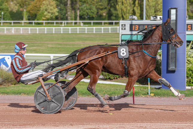 Photo d'arrivée de la course pmu PRIX DE SAINT-AMAND-LES-EAUX à ENGHIEN le Dimanche 25 octobre 2026