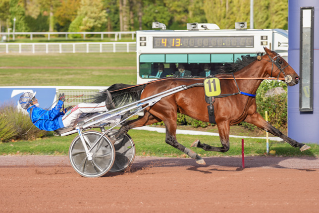 Photo d'arrivée de la course pmu PRIX DE LA PORTE BRANCION à ENGHIEN le Dimanche 25 octobre 2026