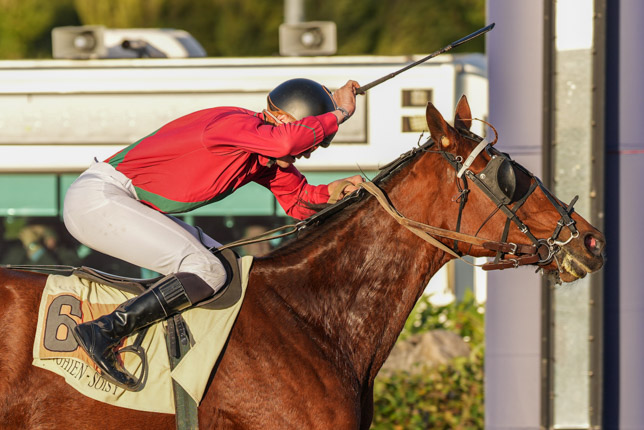 Photo d'arrivée de la course pmu PRIX DE MAINVILLIERS à ENGHIEN le Dimanche 25 octobre 2026