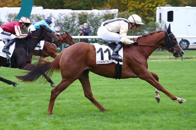 Photo d'arrivée de la course pmu CRITERIUM DE VITESSE à CHANTILLY le Lundi 26 octobre 2026