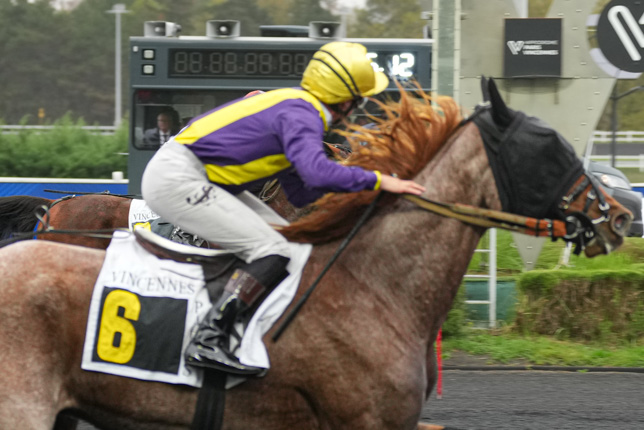 Photo d'arrivée de la course pmu PRIX DE GARDANNE à PARIS-VINCENNES le Mardi 27 octobre 2026
